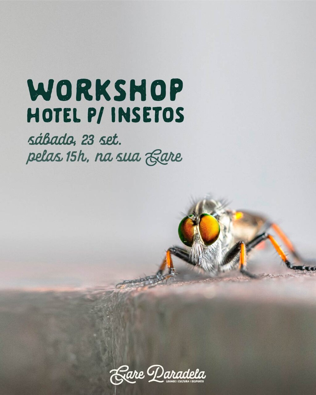Hotel para insetos - Workshop - Gare Paradela