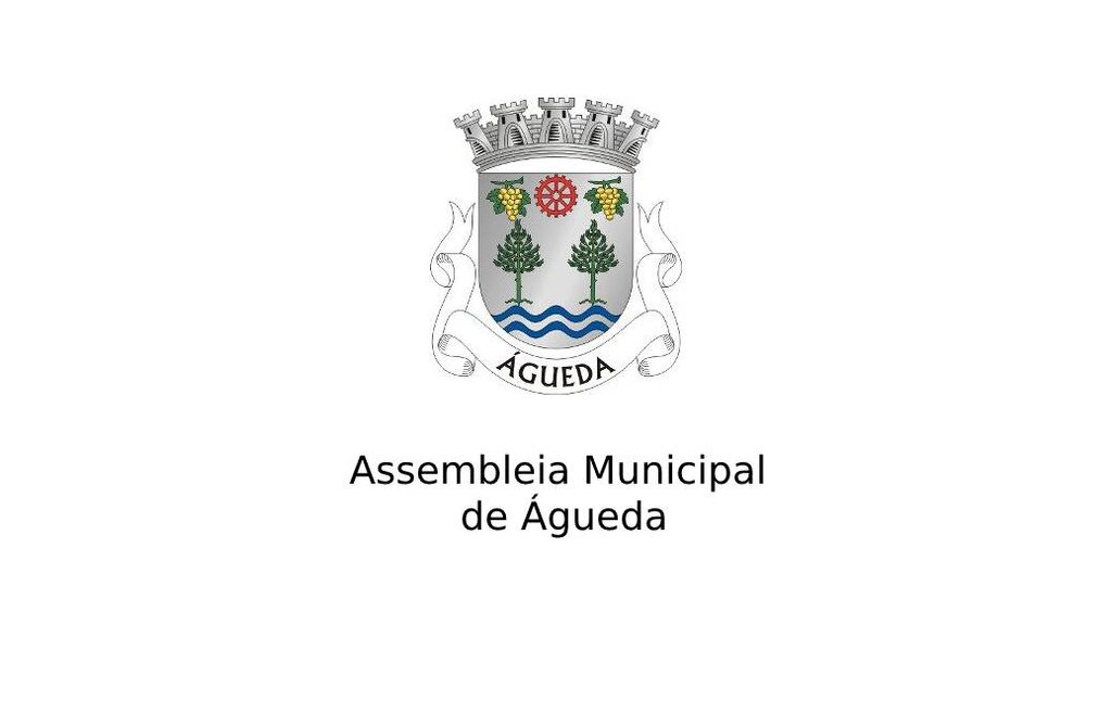4ª Sessão Ordinária da Assembleia Municipal de Águeda 
