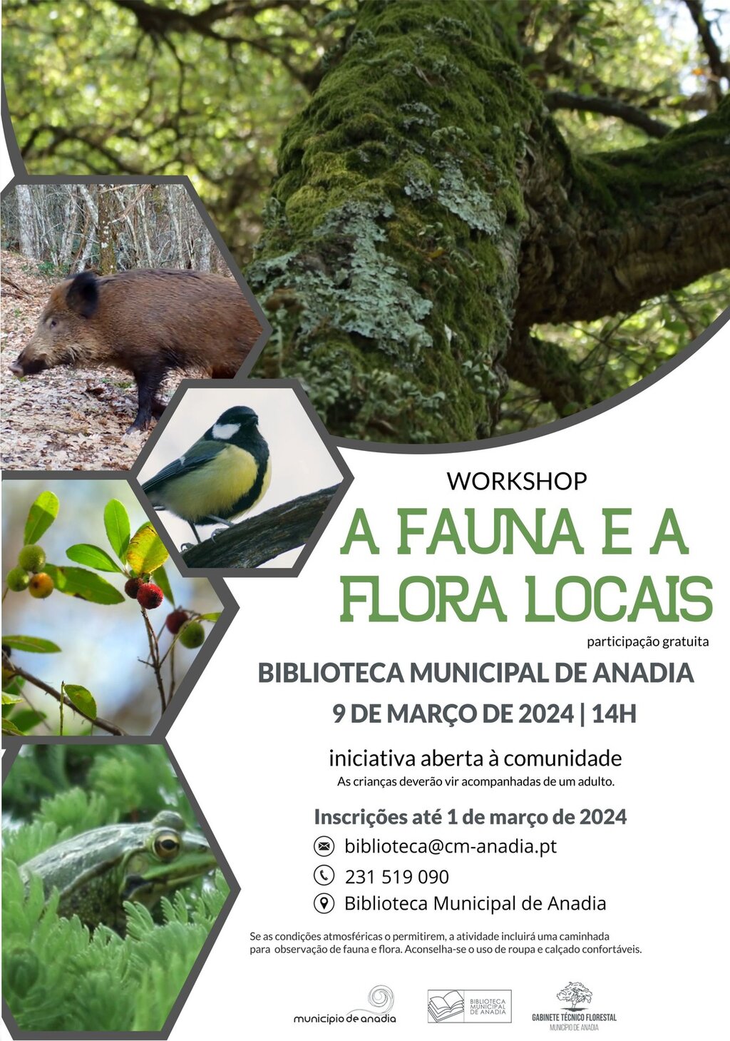 Workshop "A Fauna e a Flora Locais"