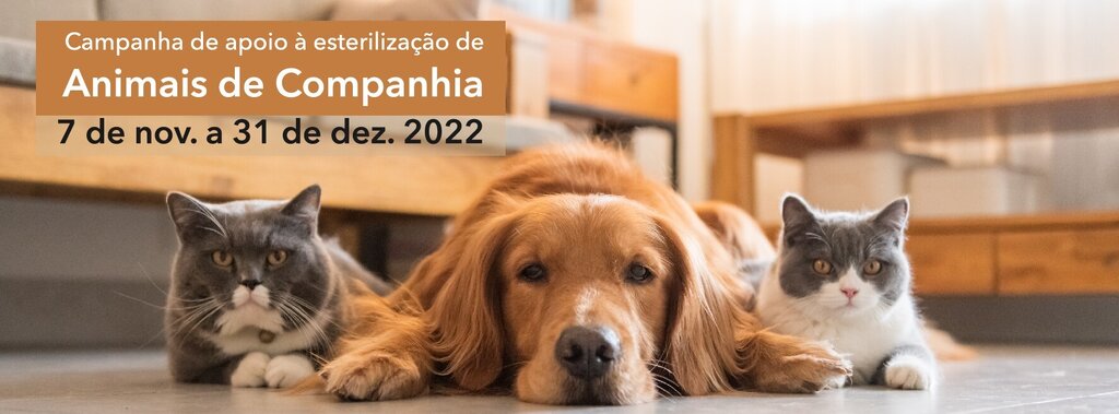 CAMPANHA DE APOIO À ESTERILIZAÇÃO DE ANIMAIS DE COMPANHIA – 2022