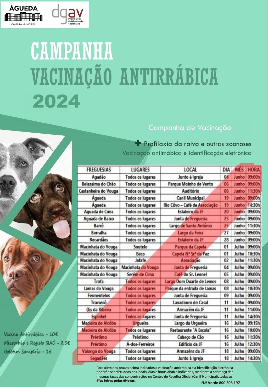 Campanha anual de vacinação antirrábica decorre de 4 de junho a 18 de julho