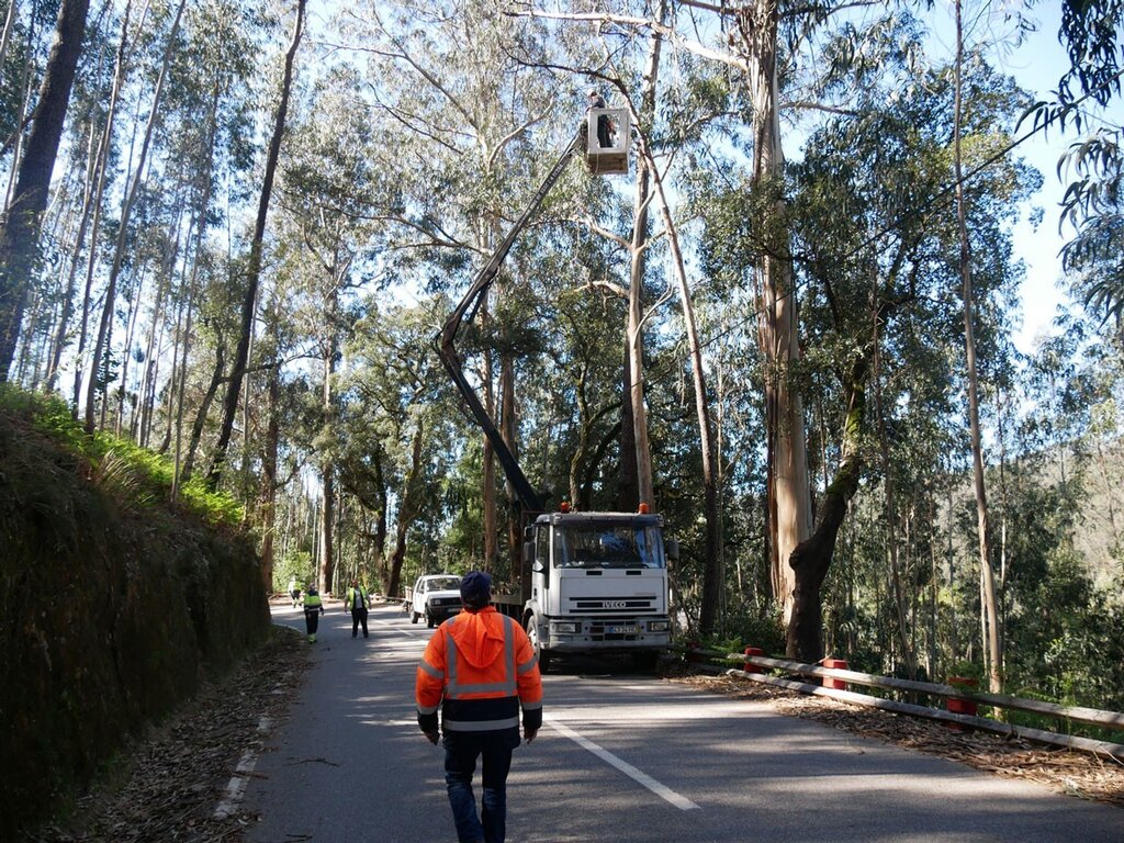 Proteção Civil de Sever do Vouga promove limpeza e corte de ramos nas estradas municipais do conc...