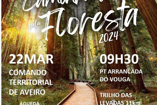 convite_caminhada_pela_floresta