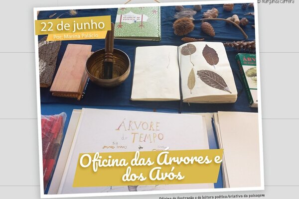 448434111_785196603734877_189793093204770834_n