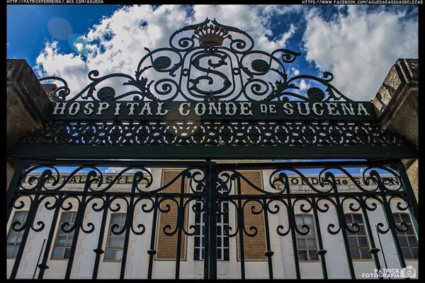 1525467_10152156340279098_483077893_n