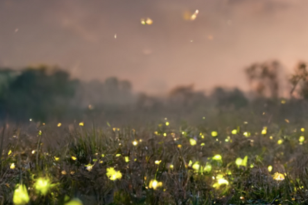 entre_estrelas_1_1024_1500