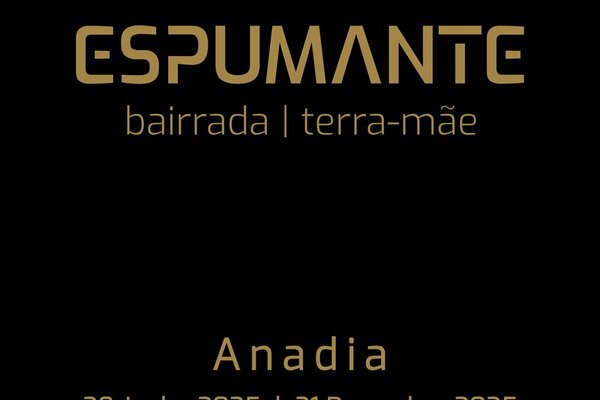 post_vertical_para_instagram__facebook__wahtsapp_exposicao_mvb_2025