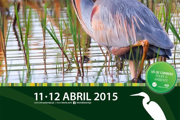 observaria2015_cartazcp_1