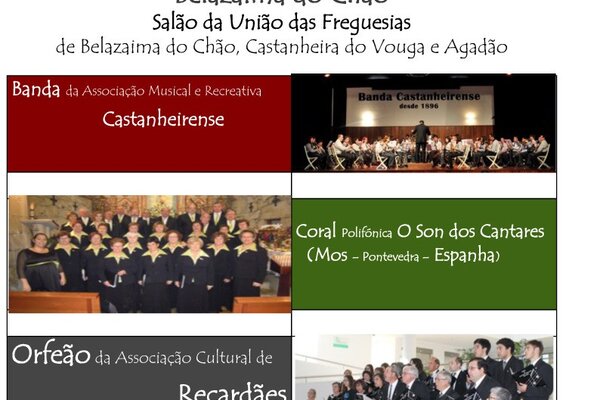 ix_concerto_das_rosas___cartaz_dan