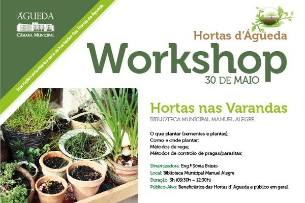 fly_workshophortas_01_web