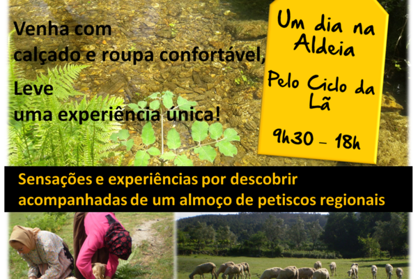 cartaz_o_ciclo_da_la_