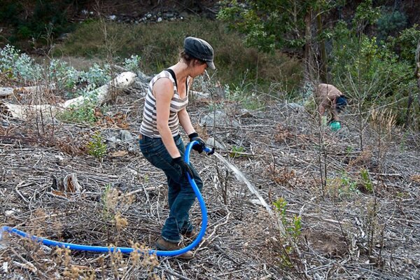jornadadevoluntariado