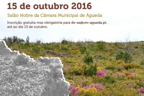 confere_ncia_cabecosanto