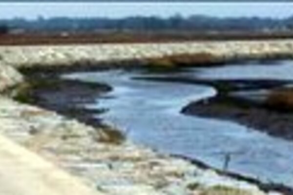 20140205111332653869