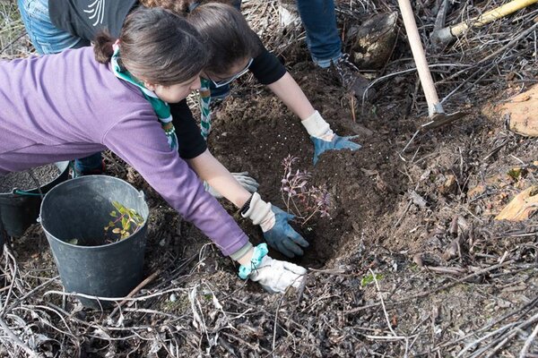 cabecosantoescuteiros