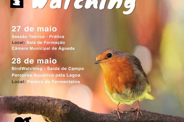 4_birdwatching_2017_a3_v2