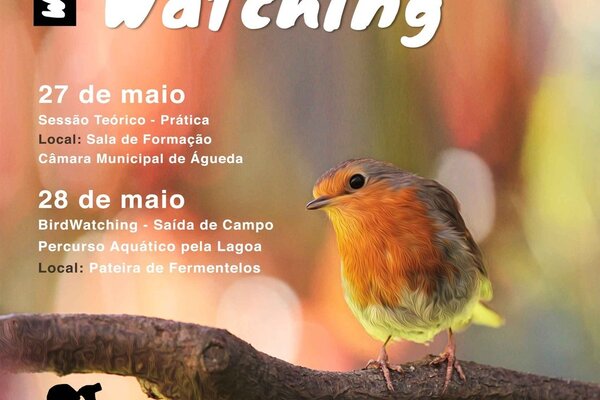 4_birdwatching_2017_a3_v2