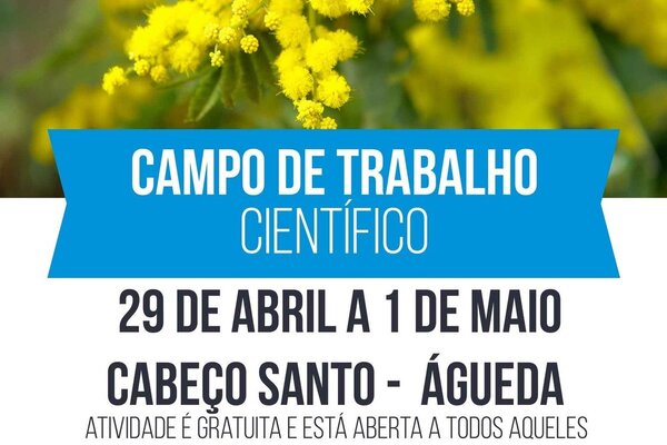 cabecosantoinvasorascartaz