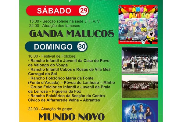 banner_festa_da_vila_valongo_do_vouga_2017_3