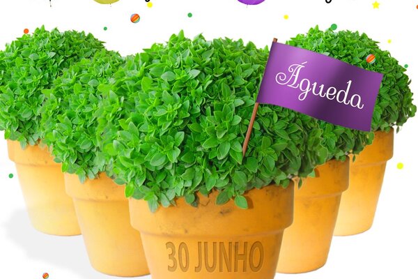 marchas_a3_2018_print