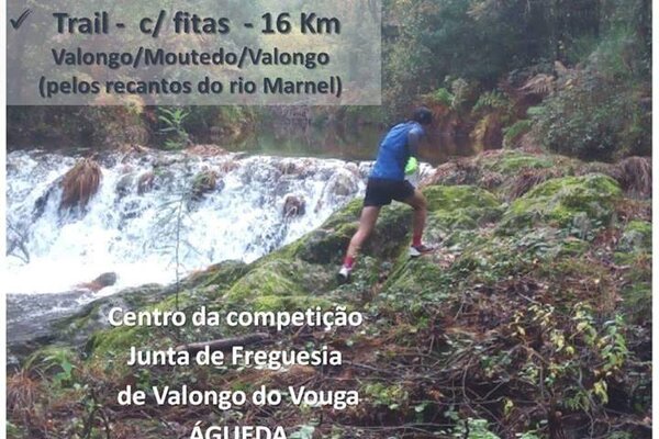 50811787_412218632652673_6524043210816225280_n