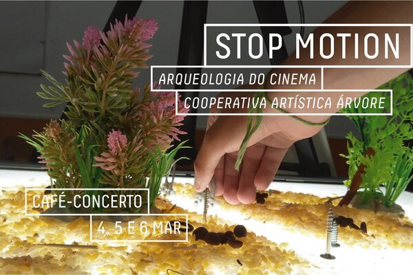 51260294_1300798576724756_3974904245747974144_o