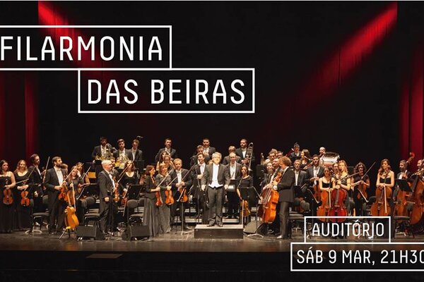 51003372_1291259891011958_6714584298122379264_n