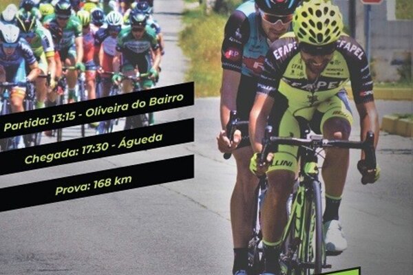 cartaz_gp_anicolor_19