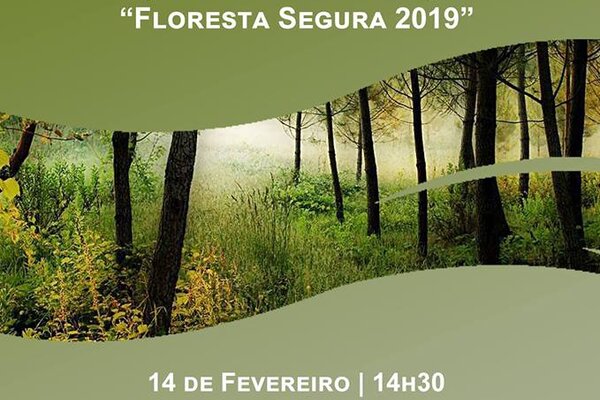 51748950_2048506251894373_9186247456239648768_n