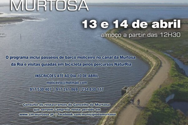 54524206_2111959808882350_8935018386551734272_o