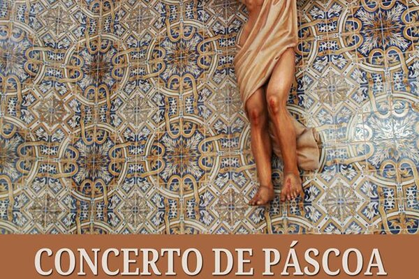 55526872_2121458897932441_7167803905919680512_n