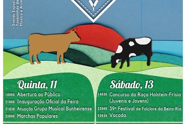 65868416_2275717739173222_4917404732609265664_n