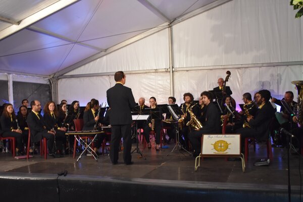 66368191_2287436484668014_1093113135822274560_o