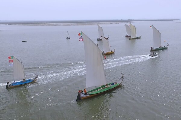 67252332_2295576573854005_7787956776409759744_o