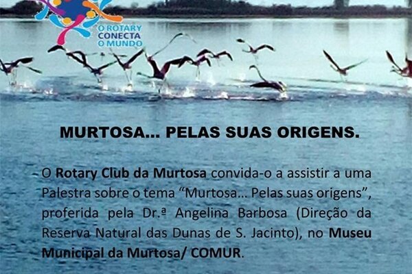 67142654_2313102858768043_7703901771051040768_n