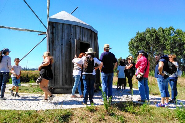 o_mar_a_ria_e_a_terra