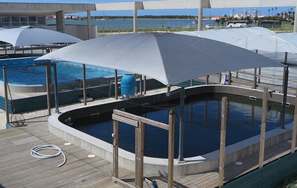 ecomare_e_finalista_dos_premios_regiostars_2019