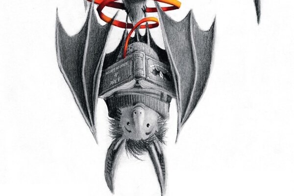 capa_o_morcego_bibliotecario