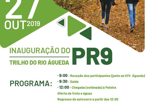 72486501_10157522128379098_1658844935266238464_n