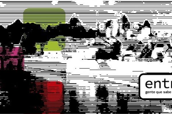 75262068_113280613425884_177541256388280320_n