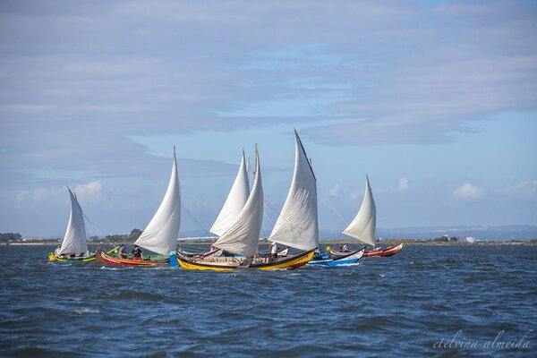 118530538_3203325763079077_5423060619490467799_o