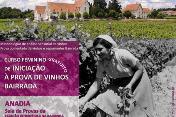 20130201131424136775