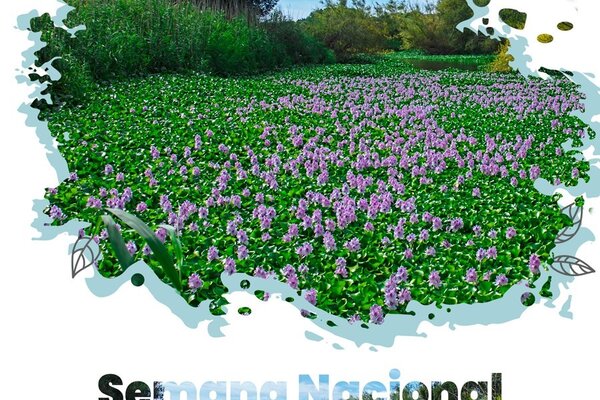 cartas_semana_web_v3