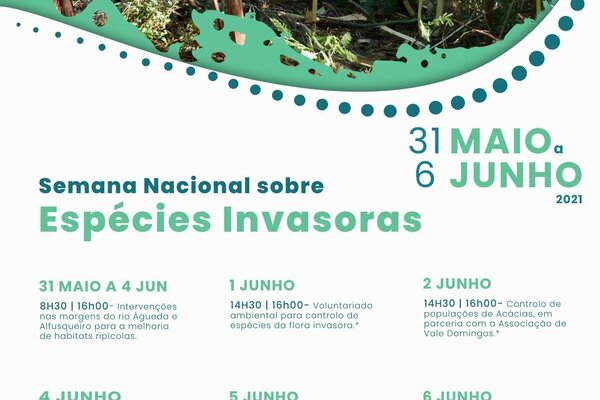 programa_semana_2021_programa_v4_1_2500_2500