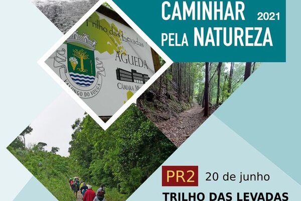 198267239_4056807717739031_4257687041262868478_n