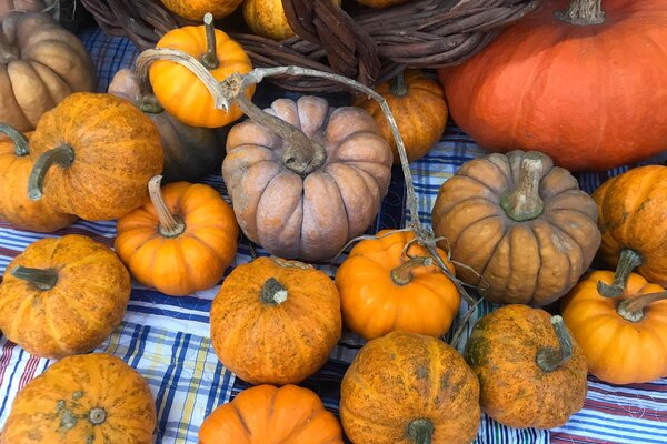 71101379_2136228243149765_4863224132487086080_n