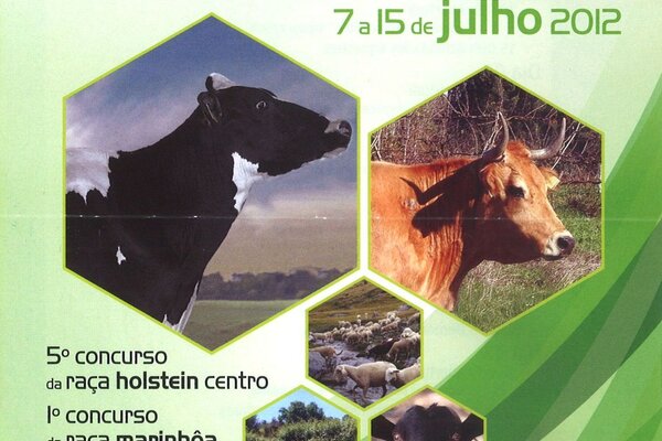 20120709171351124506