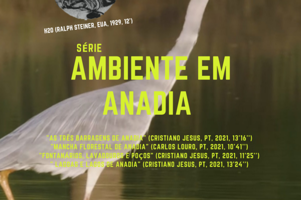 copia_de_ambiente_em_anadia