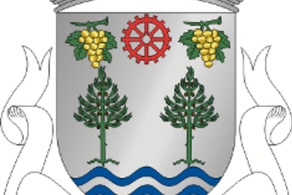 20111111190920203777