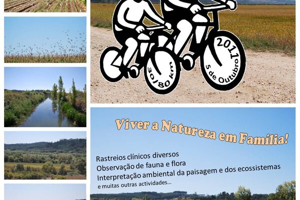 20110923121946483057